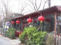 Beijing (583)